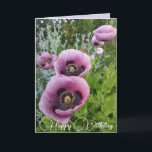 Purple Flowers Floral Poppy Photo Birthday Card Kaart<br><div class="desc">Paarse Poppy Flowers Floral foto Birthday Card,  met volledig  meisjesnaam. Foto van de violen die groeien in een pot hier in mijn tuin in de lente. Stuur een kaart met de kleuren,  vorm en schoonheid van de natuur. Een kleine glimlach op een kaart!</div>