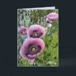 Purple Flowers Floral Poppy Photo Birthday Card Kaart<br><div class="desc">Paarse Poppy Flowers Floral foto Birthday Card,  met volledig  meisjesnaam. Foto van de violen die groeien in een pot hier in mijn tuin in de lente. Stuur een kaart met de kleuren,  vorm en schoonheid van de natuur. Een kleine glimlach op een kaart!</div>