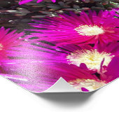 Purple Flowers Foto Afdruk (Hoek)