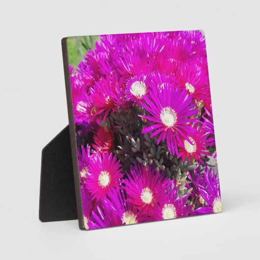 Purple Flowers Fotoplaat (Voorkant)