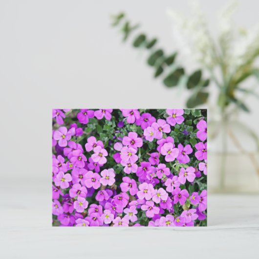 Purple Flowers Garden Briefkaart (Staand voorkant)