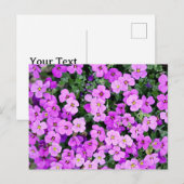 Purple Flowers Garden Briefkaart (Voorkant / Achterkant)