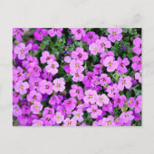 Purple Flowers Garden Briefkaart (Voorkant)
