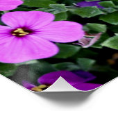 Purple Flowers Garden Perfect Poster (Hoek)