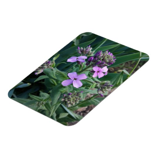 Purple Flowers Magneet (Linkerzijde)