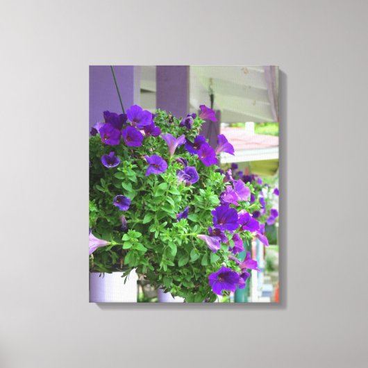 Purple Flowers - Martha's wijngaard Canvas Afdruk (Voorkant)