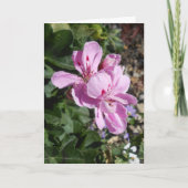 Purple Flowers-Moederdag Kaart (Voorkant)