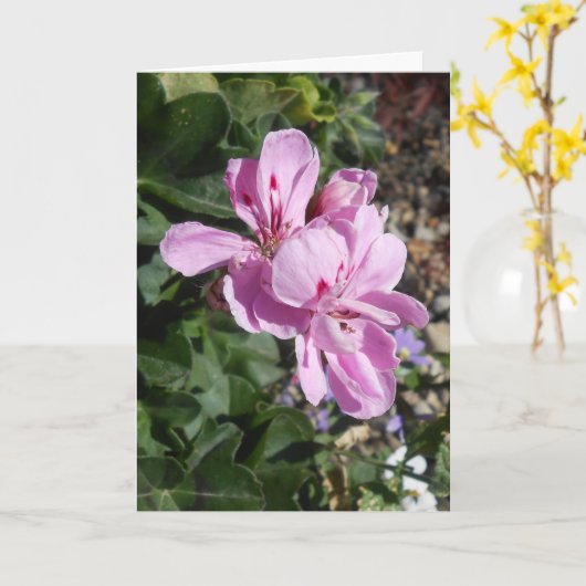 Purple Flowers-Moederdag Kaart (Gele Bloem)