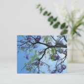 Purple Flowers op boomtakken Briefkaart (Staand voorkant)