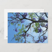 Purple Flowers op boomtakken Briefkaart (Voorkant / Achterkant)