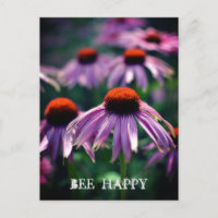Purple Flowers op RHS Wisley Briefkaart