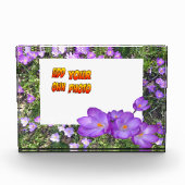 Purple Flowers Paarse Crocuses Cust. Fotoblok (Voorkant)