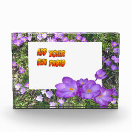 Purple Flowers Paarse Crocuses Cust. Fotoblok