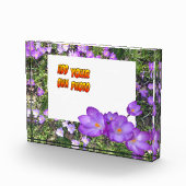 Purple Flowers Paarse Crocuses Cust. Fotoblok (Rechts)