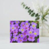 Purple Flowers Peace Love Destiny Briefkaart (Staand voorkant)