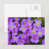 Purple Flowers Peace Love Destiny Briefkaart (Voorkant / Achterkant)