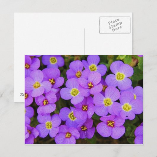 Purple Flowers Peace Love Destiny Briefkaart (Voorkant / Achterkant)