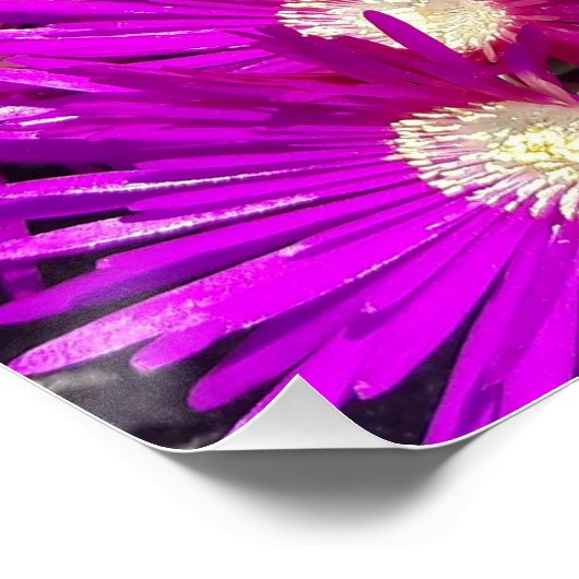 Purple Flowers Perfect Poster (Hoek)