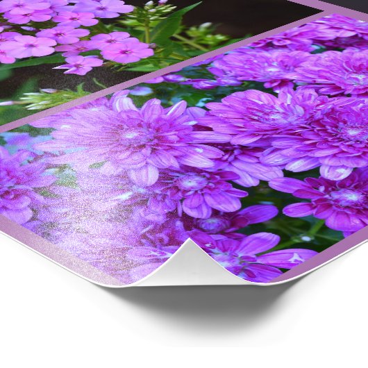 Purple Flowers Photo Collage Foto Afdruk (Hoek)