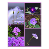 Purple Flowers Photo Collage Foto Afdruk (Voorkant)