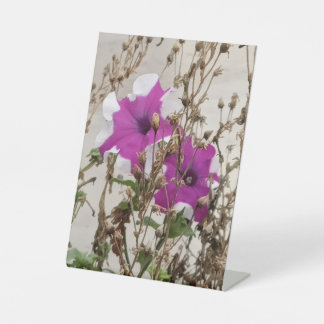 Purple Flowers Photo Reclamebord Met Voetstuk