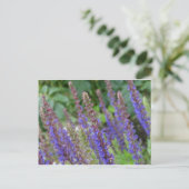 Purple  flowers postcard briefkaart (Staand voorkant)