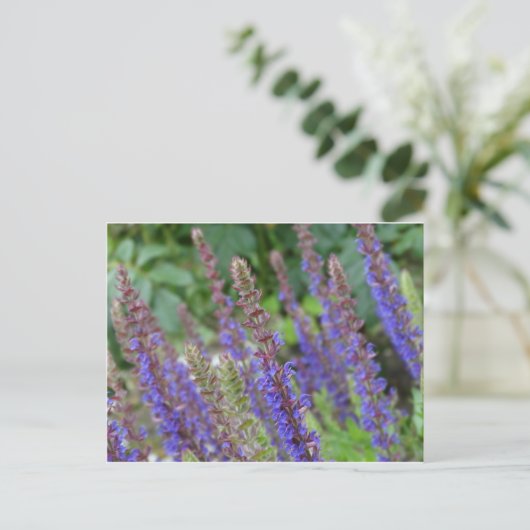 Purple  flowers postcard briefkaart (Staand voorkant)