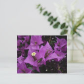 Purple flowers | Postcard Briefkaart (Staand voorkant)