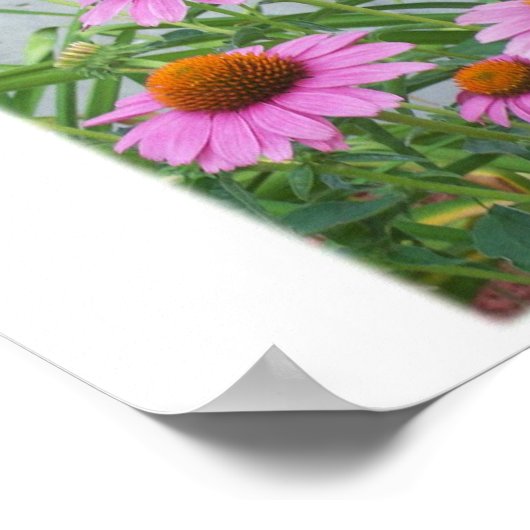 Purple Flowers Poster (Hoek)