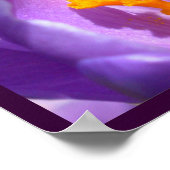 Purple Flowers print Blue Crocus Poster Decor (Hoek)