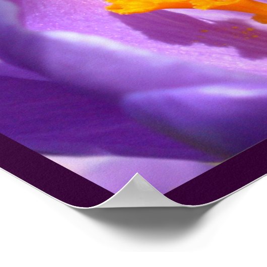 Purple Flowers print Blue Crocus Poster Decor (Hoek)
