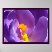 Purple Flowers print Blue Crocus Poster Decor (Voorkant)
