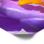 Purple Flowers print Blue Crocus Print Decor (Hoek)