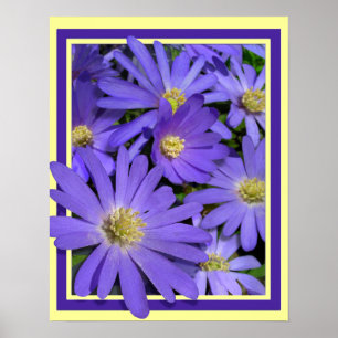Purple Flowers print Blue Daisies Art Poster