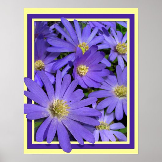 Purple Flowers print Blue Daisies Art Poster (Voorkant)