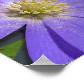 Purple Flowers print Blue Daisies Art Poster Print (Hoek)