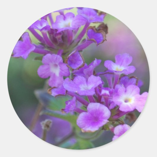 Purple Flowers Ronde Sticker (Voorkant)