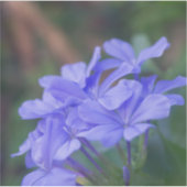 Purple Flowers Sticker (Voorkant)