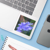 Purple Flowers Sticker (Laptop met iPhone)