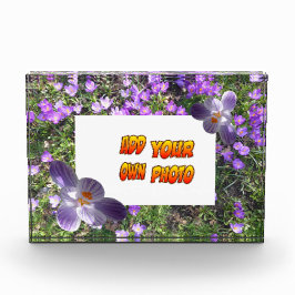 Purple Flowers striped Crocuses Cust. Fotoblok