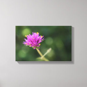 Purple Flowers Summer Natuur Fotografie Floral Canvas Afdruk
