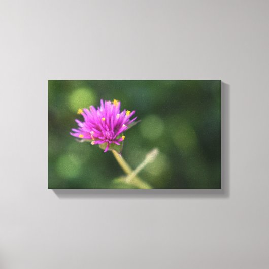 Purple Flowers Summer Natuur Fotografie Floral Canvas Afdruk (Voorkant)