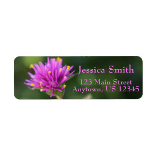 Purple Flowers Summer Natuur Fotografie Floral Etiket