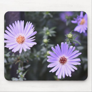 Purple Flowers Summer Natuur Fotografie Floral Muismat