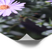 Purple Flowers Summer Natuur Fotografie Floral Poster (Hoek)