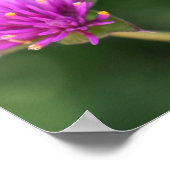 Purple Flowers Summer Natuur Fotografie Floral Poster (Hoek)