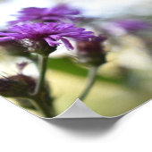Purple Flowers Summer Natuur Fotografie Floral Poster (Hoek)