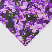 Purple Flowers Tissuepapier (Detail)