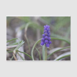 Purple Flowers Tissuepapier