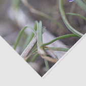 Purple Flowers Tissuepapier (Detail)